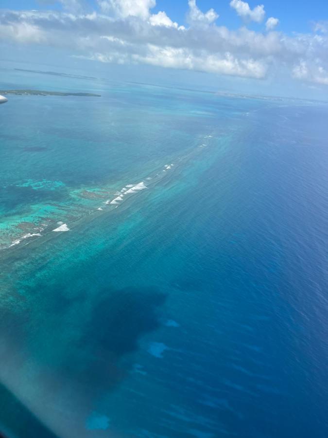 Dreamcabanas Caye Caulker Dış mekan fotoğraf