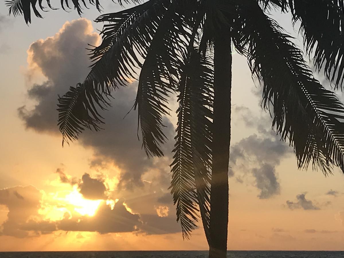 Dreamcabanas Caye Caulker Dış mekan fotoğraf